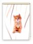 Preview: Rollo Lion vertic Katzenbaby, Rollo, Motivrollo, Rollo mit Druck, Fotorollo, bedrucktes Rollo, Fensterrollo,verdunkelndes Rollo, Sonnenschutz Rollo